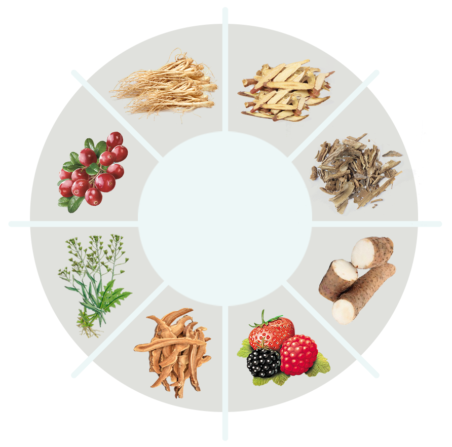 NeuroXen ingredient circle
